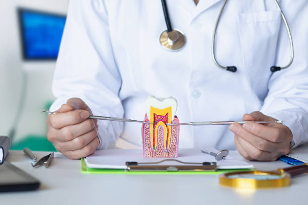 Best Dental Abscess Treatment in Langhorne Manor, PA